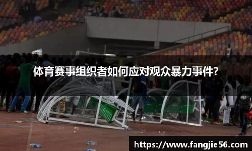 体育赛事组织者如何应对观众暴力事件？